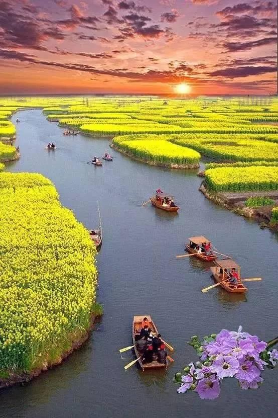 市长与曲靖一起刷爆朋友圈!流利英文对答记者