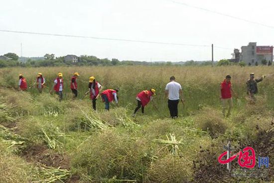 湖南衡南县志愿者协会成立 实名注册志愿者达