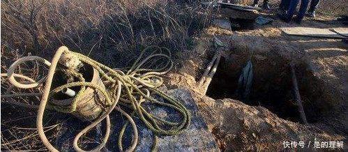 盗墓贼的风水学,看到这种树, 说明附近必有古墓