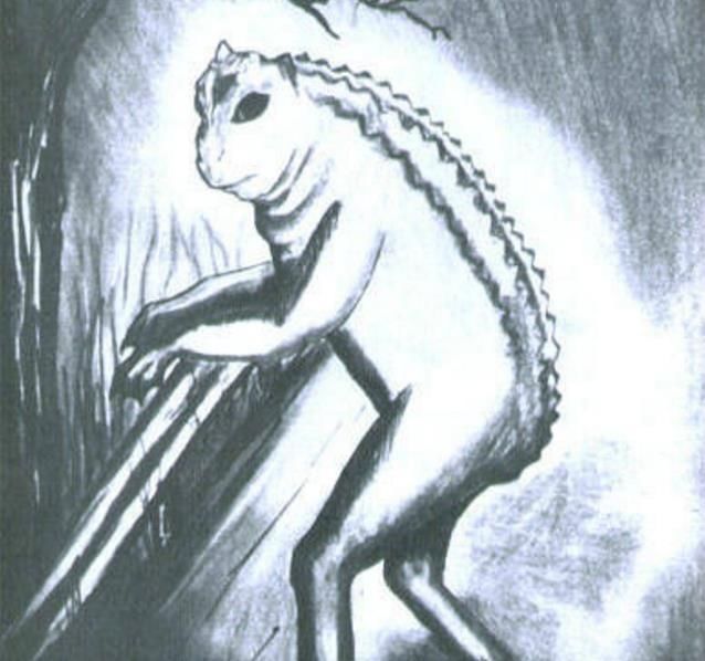 5种神秘异常的未知物种,第3种在中国曾被猎杀