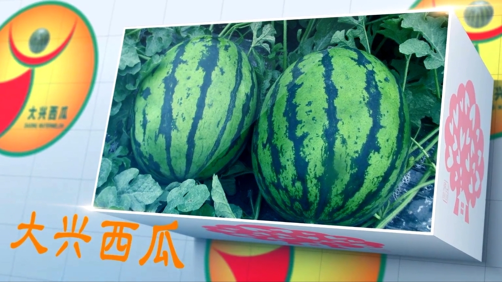 平谷大桃 大兴西瓜等当选“北京农业好品牌” 平谷大桃 大兴西瓜等当选“北京农业好品牌”