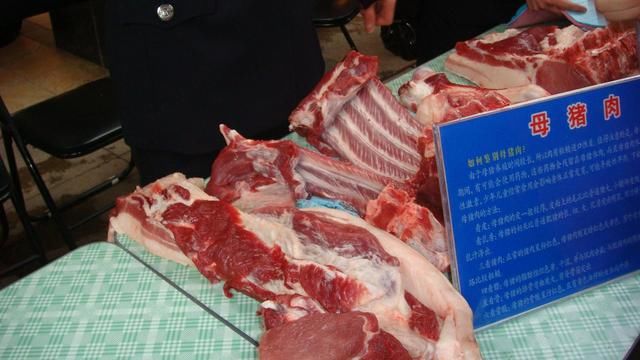 母猪肉能不能吃?对人体有没有害?请看专业养