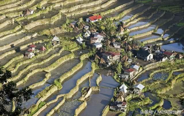 世界最牛摩托车,不耗油不用电最高时速50公里