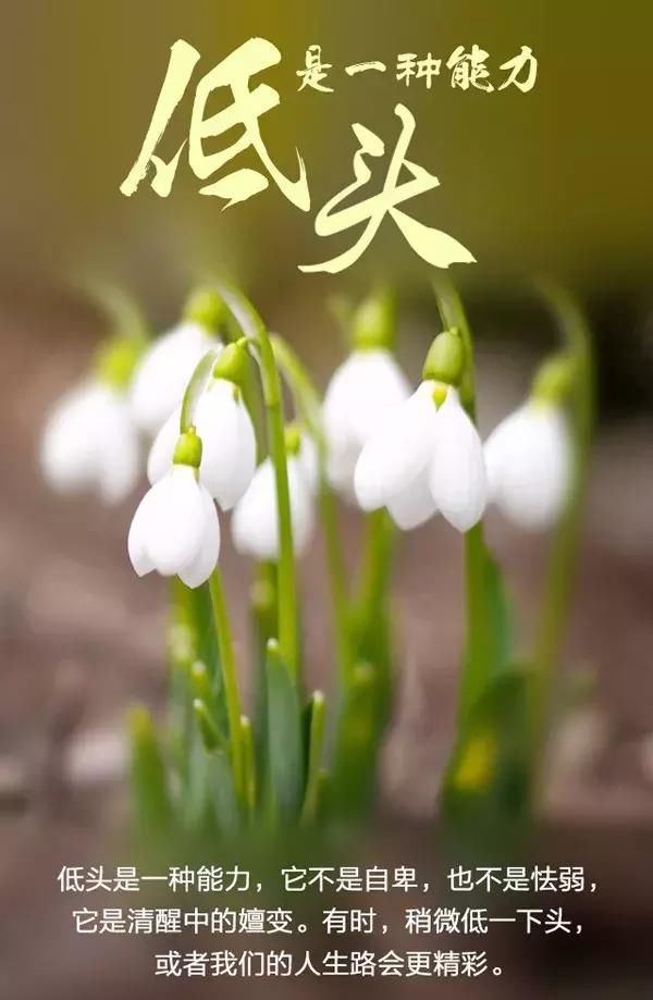 早上问候朋友励志的短句子