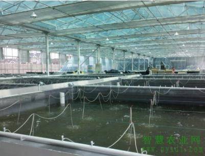 福建2018高考分数线预测文理科多少分 2018福