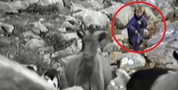 魔笛传记--世界第一中场莫德里奇的精彩足球生