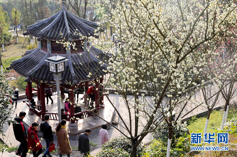 华蓥市民伴着花香过大年