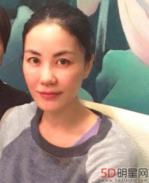 王菲和谢霆锋现在怎样 为什么锋菲恋兜兜转转