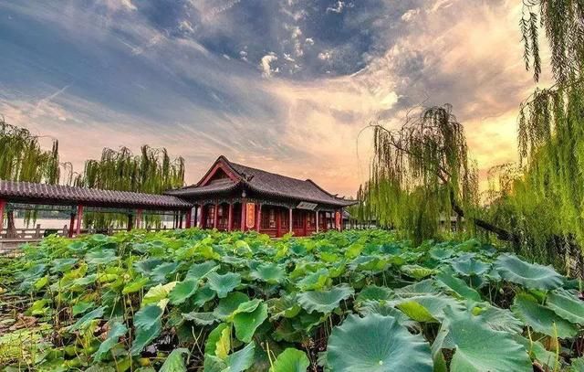 两天一夜,带你打卡抖音网红济南