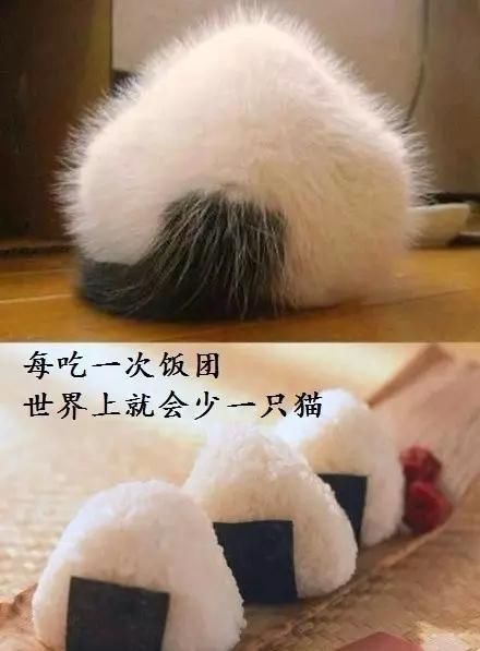 每生产一支口红,就有一只狗失去小丁丁,没有买