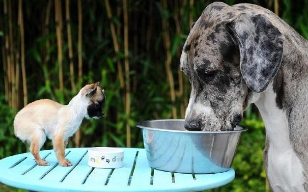 天道法师:成功挽回外遇中的老公