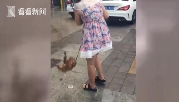 女子当街虐狗表示回家弄死它 丈夫:不听话当然打 女子当街虐狗表示回家弄死它 丈夫:不听话当然打