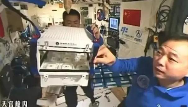 即将返回 天宫二号航天员留下神秘礼物