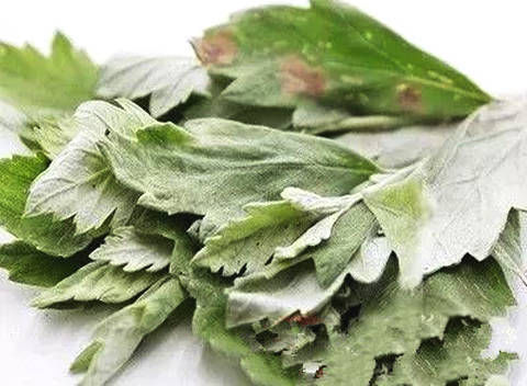 艾叶泡脚的功效 艾草泡脚注意事项有哪些