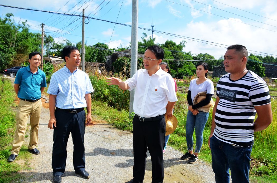 合浦县委书记王方红到沙岗镇,党江镇,星岛湖镇调研指导工作