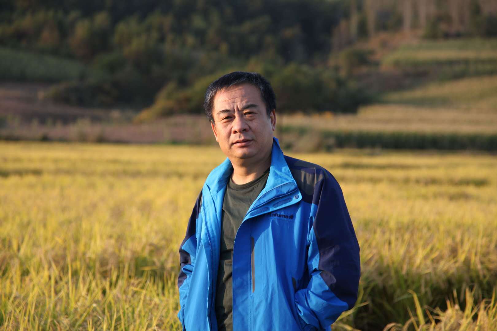 [新诗风○诗歌手记(42)] 张洪波:面对树木的伤口