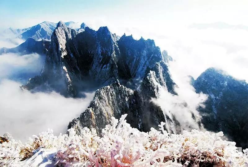 西岳华山是秦岭海拔最高的山吗?