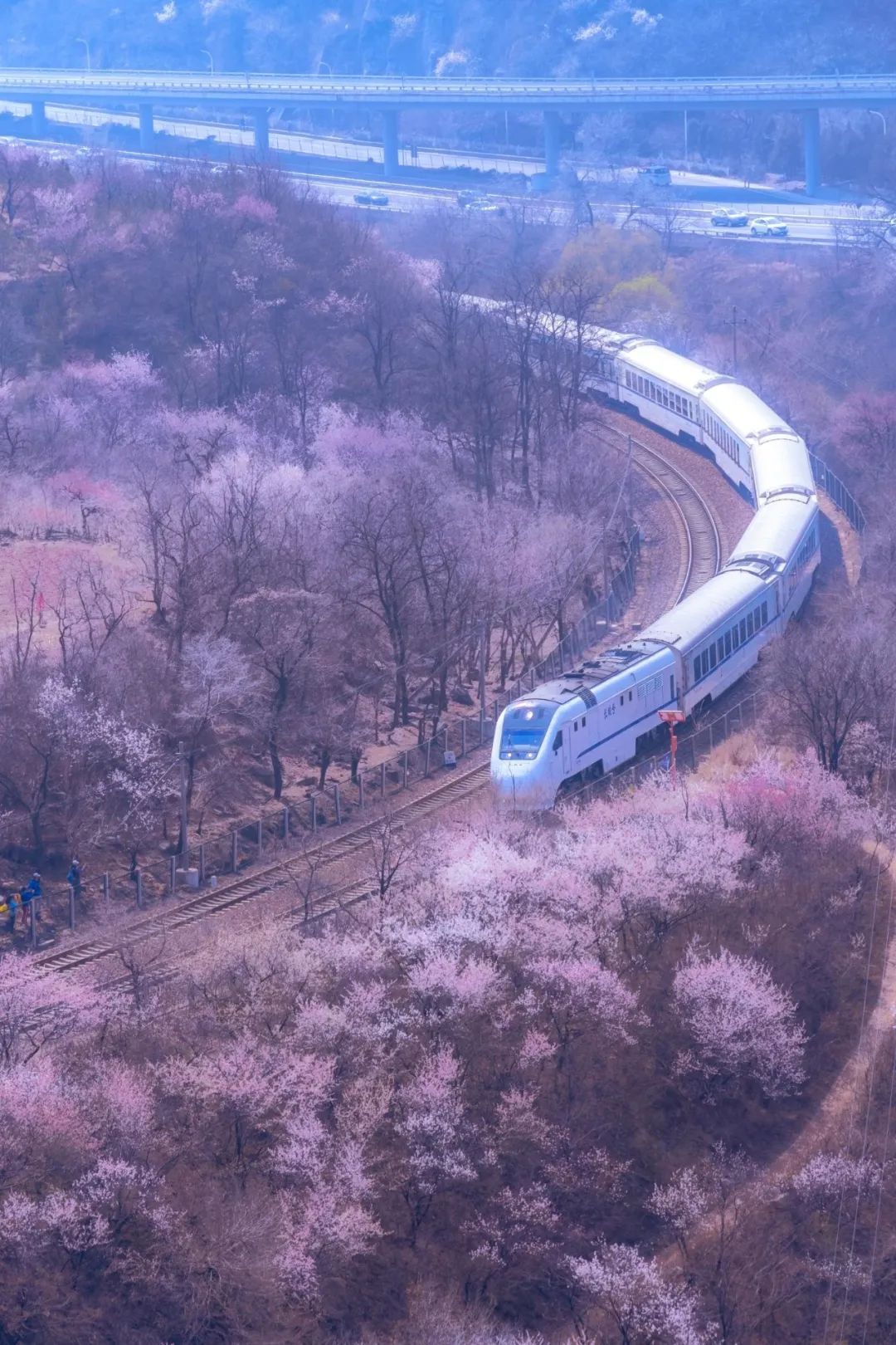 能坐火车的一卡通来啦！还是实名管理的~北京时间 