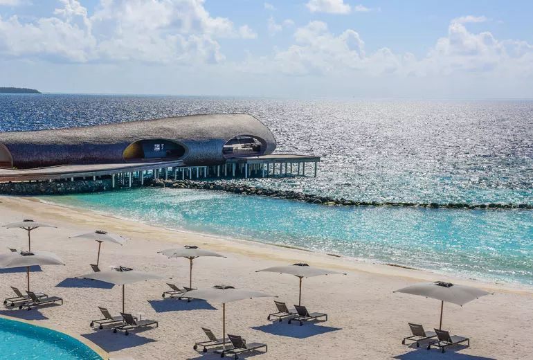 王思聪:我睡过的都是最好的,不信你睡睡看?