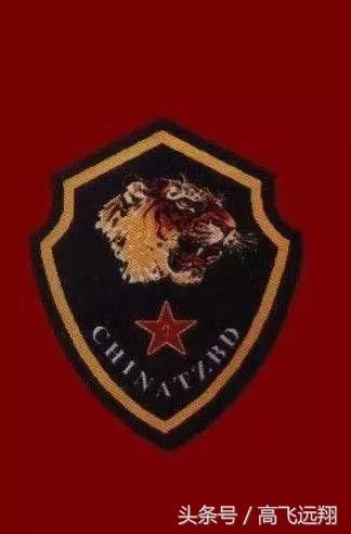 中国十大特种部队专属徽章,你都知道那几个