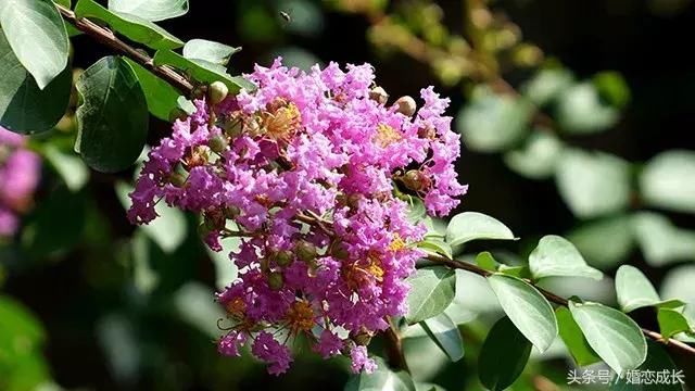 经典感情句子说说心情 句句温情