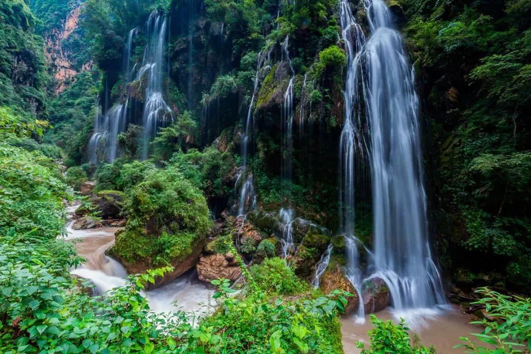 倒计时1天!攀枝花清明踏春出游路线出炉,采茶