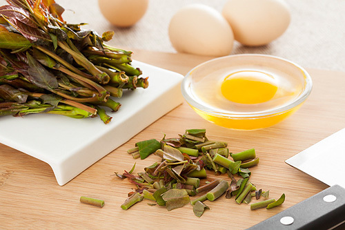 吃野菜养身?搞不好你是在服毒 吃野菜养身?搞不好你是在服毒