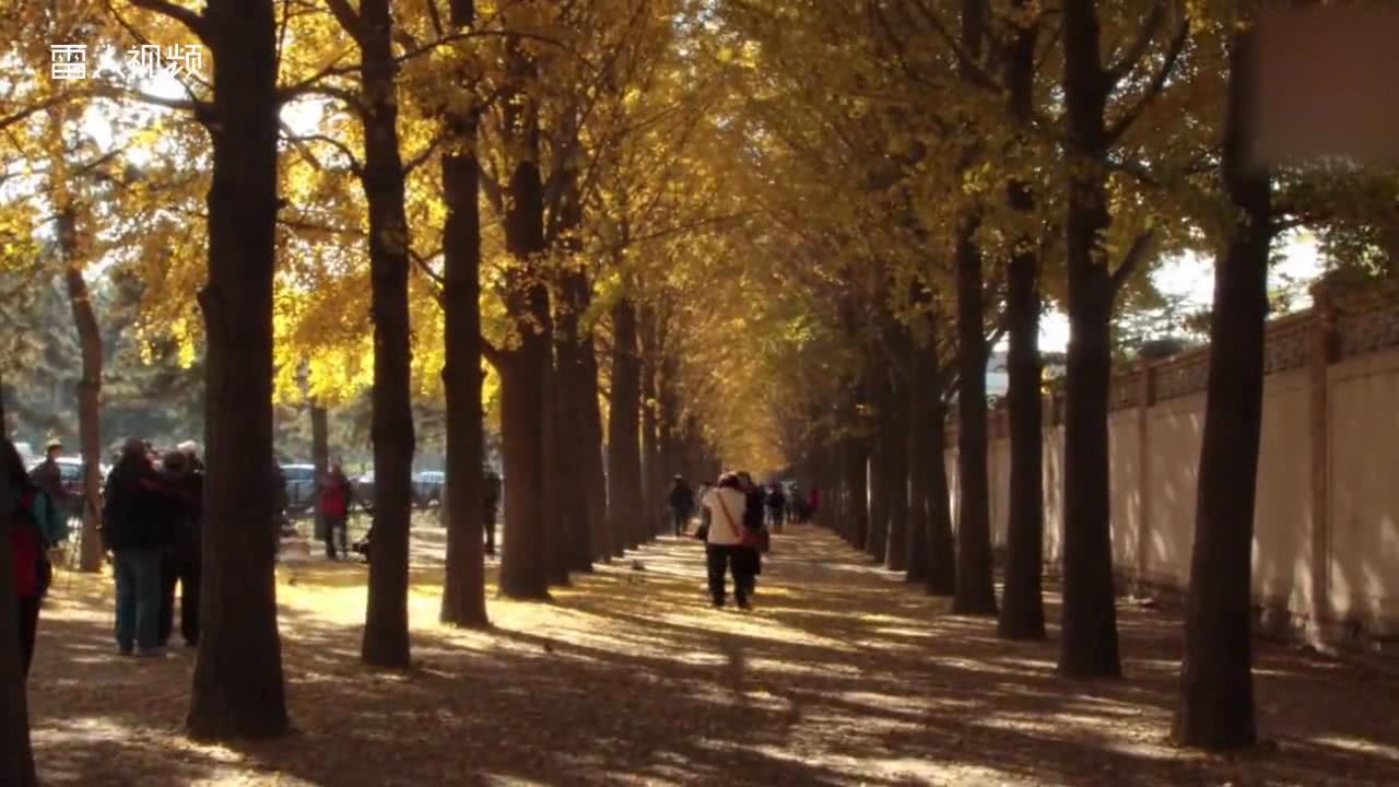 2018下半年第一批5G手机将发布 要换新机的朋