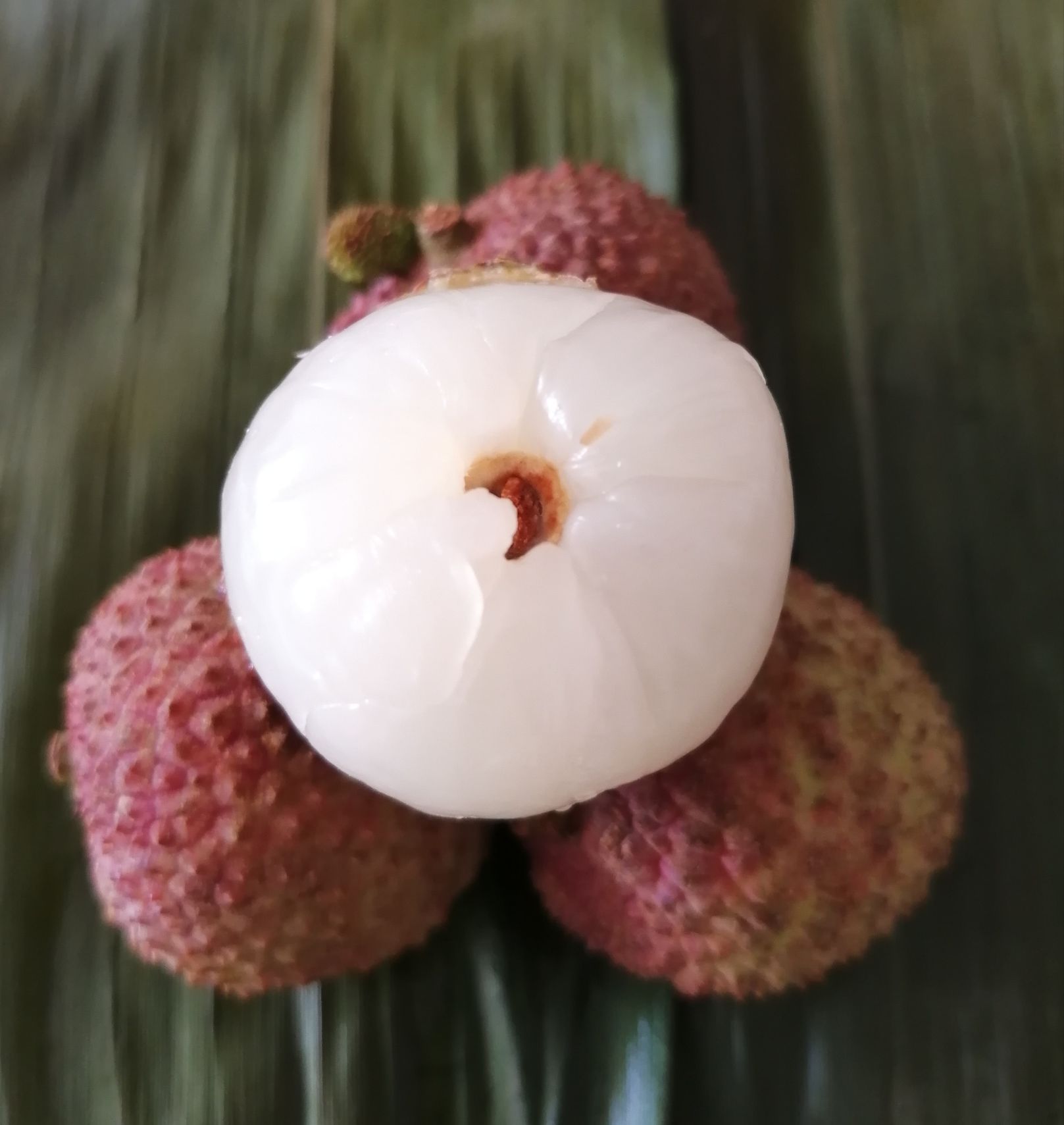 一骑红尘妃子笑 拥有航空公司多么好--药师说中