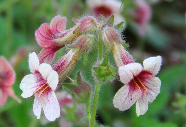 六味地黄丸,我们都吃对了吗?