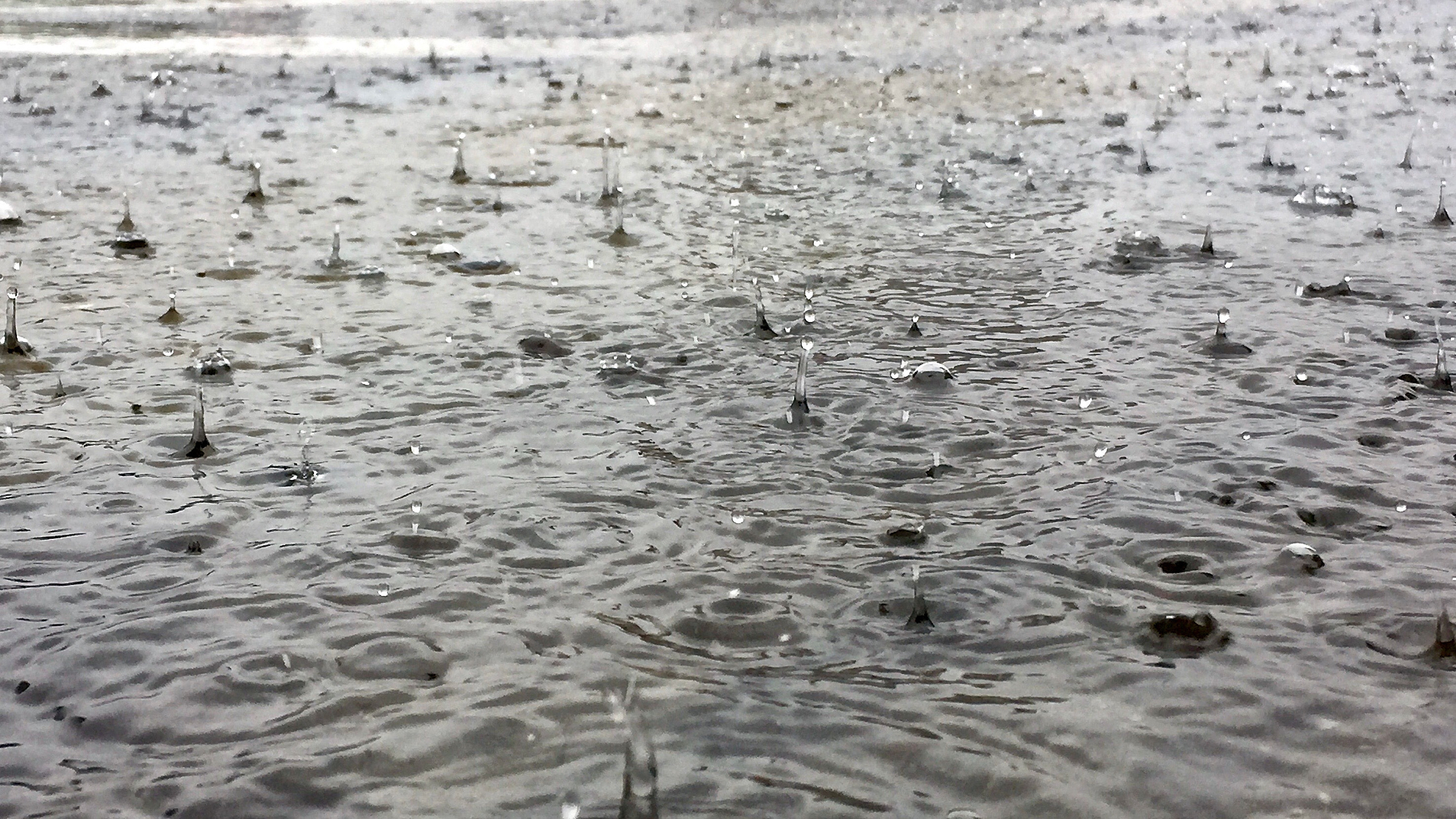北京暴雨！市区路段出现积水 多趟列车停运 多个公园临时关闭
