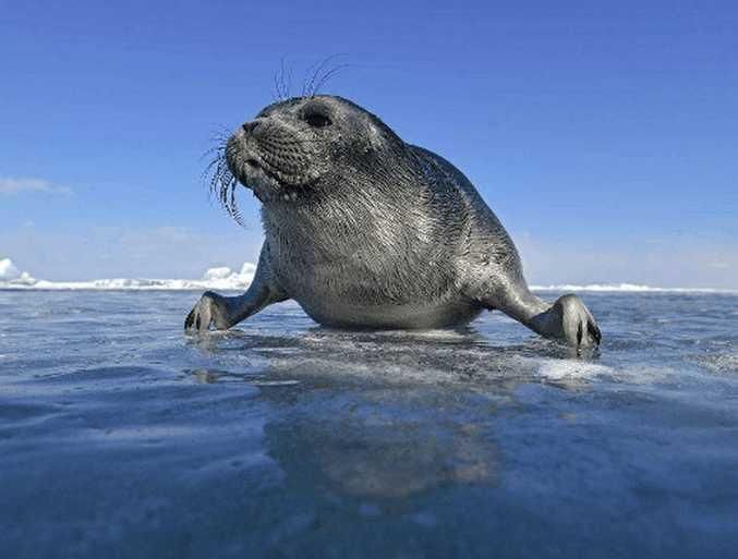 全球最干净的湖泊,315万平方千米可养活50亿人,可惜不是中国的