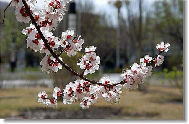 时间匆匆如流水,10首关于珍惜时间的古诗词,美