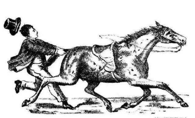 心理学:几秒你能找到马身上藏着的人?测你的逻辑推理能力如何