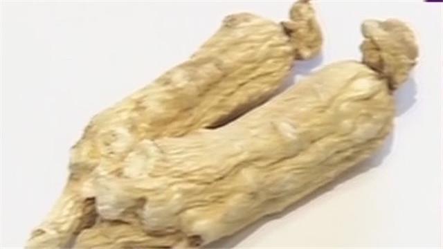 秋冬进补 如何买到好人参