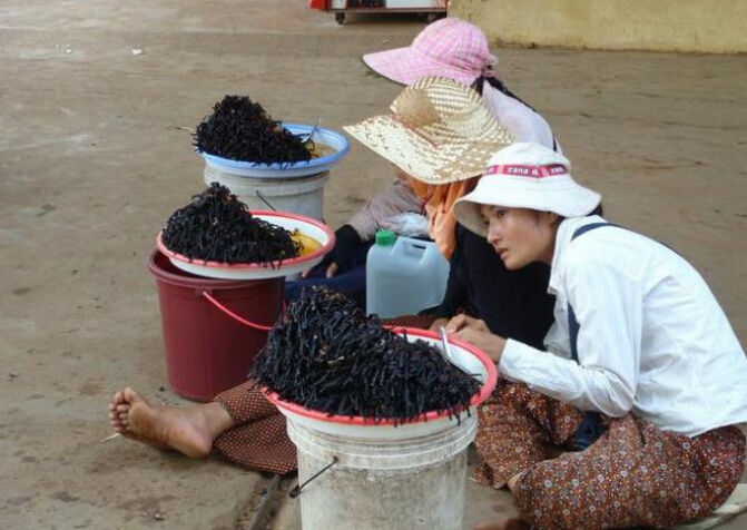 全球最可怕的美食,中国人真的什么都敢吃么