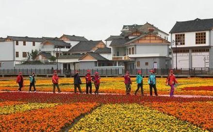 老农疑惑,未来农村是否都要搬迁,专家说只有这