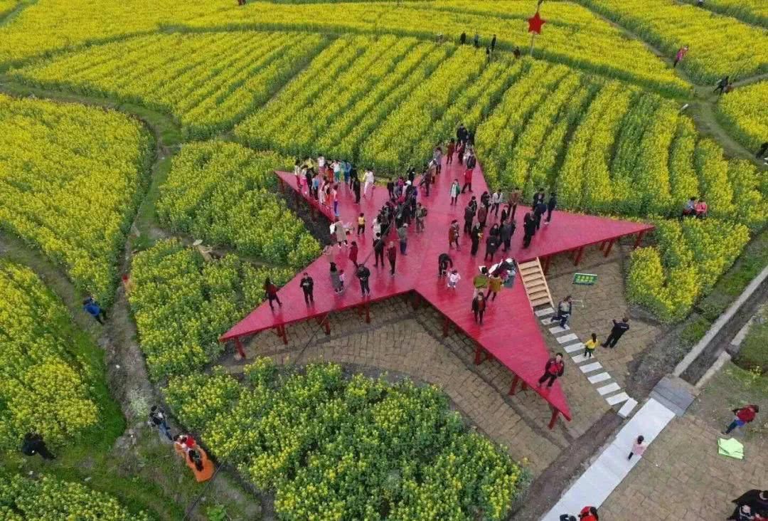 [太平]谭家桥镇首届踏青赏花节隆重举行