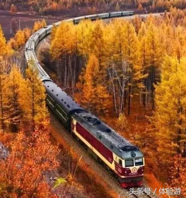 坐上火车旅行吧 穿越长白山的山谷溪流 大兴安