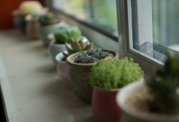 华为P20PRO手机与入门级微单拍照样张对比: