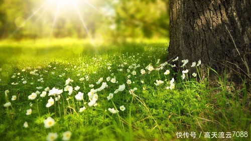 晏殊最出名的诗句:无可奈何花落去,似曾相识燕