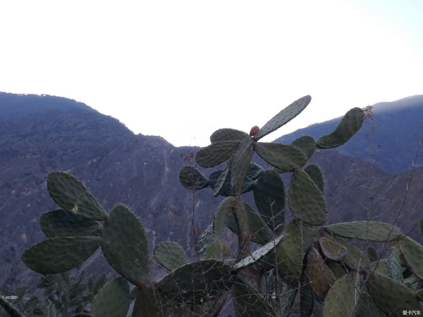 丙察察一一滇藏新通道2018冬季驾欧蓝德穿越