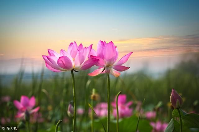 干货:旅游项目开发的模式与流程