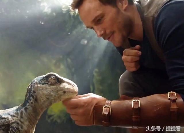 大片盛宴:2018即将上映十大影片,你最期待哪一