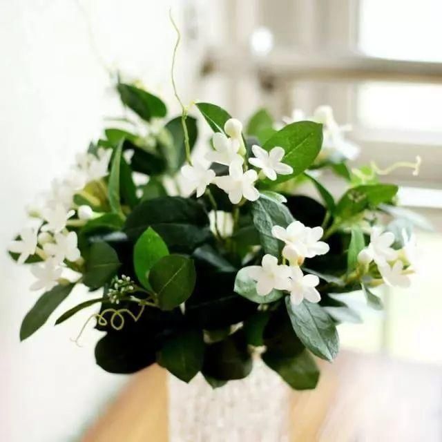 外国人人会唱,它被誉为中国第二国歌