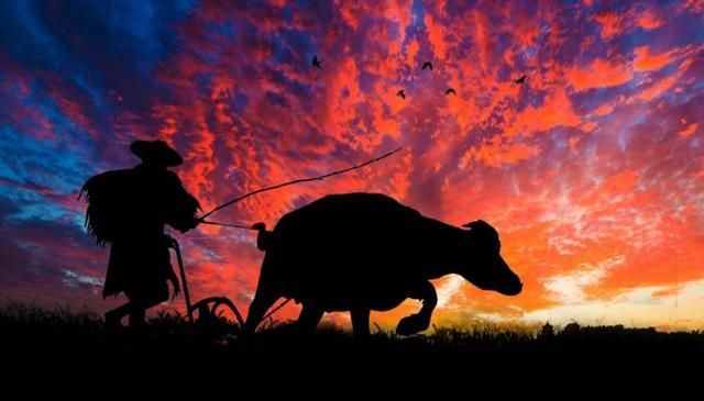 A股极度缩量创新低,杀跌力量大幅减弱,后市能