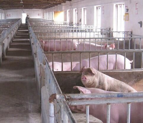 国家对农村养殖户环境要求