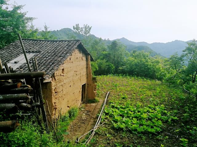 贫困户搬迁进城生活现状不如在农村让亲朋担