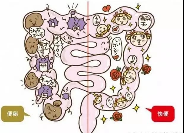 清理肠道垃圾，通畅便竟如此简单!