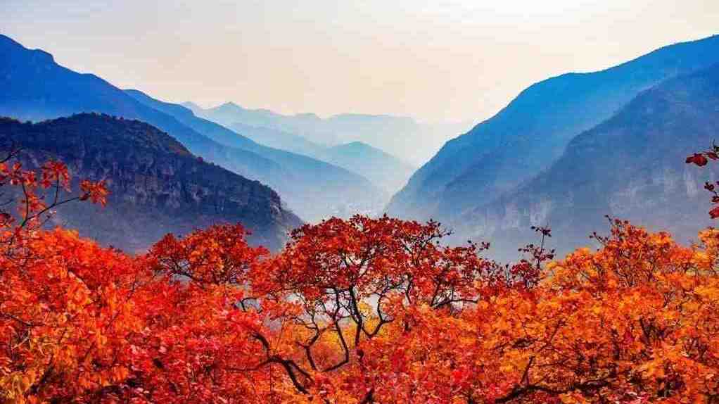 【寻秋攻略】缤纷秋色入画来，一起来房山赏秋~~